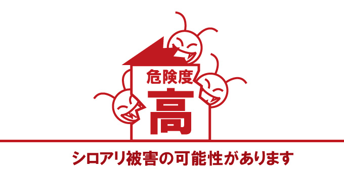 シロアリ危険度【高】シロアリ被害の可能性があります
