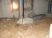 ヤマトシロアリの蟻道