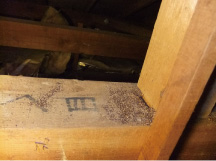 アメリカカンザイシロアリの糞