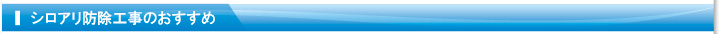 シロアリ防除工事のおすすめ
